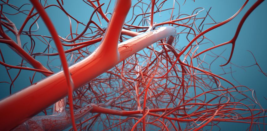 What is vascular surgery?